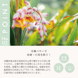 月桃トゥースジェル/TOOTH GEL - SHINE BABY AND KIDS ONLINE STORE