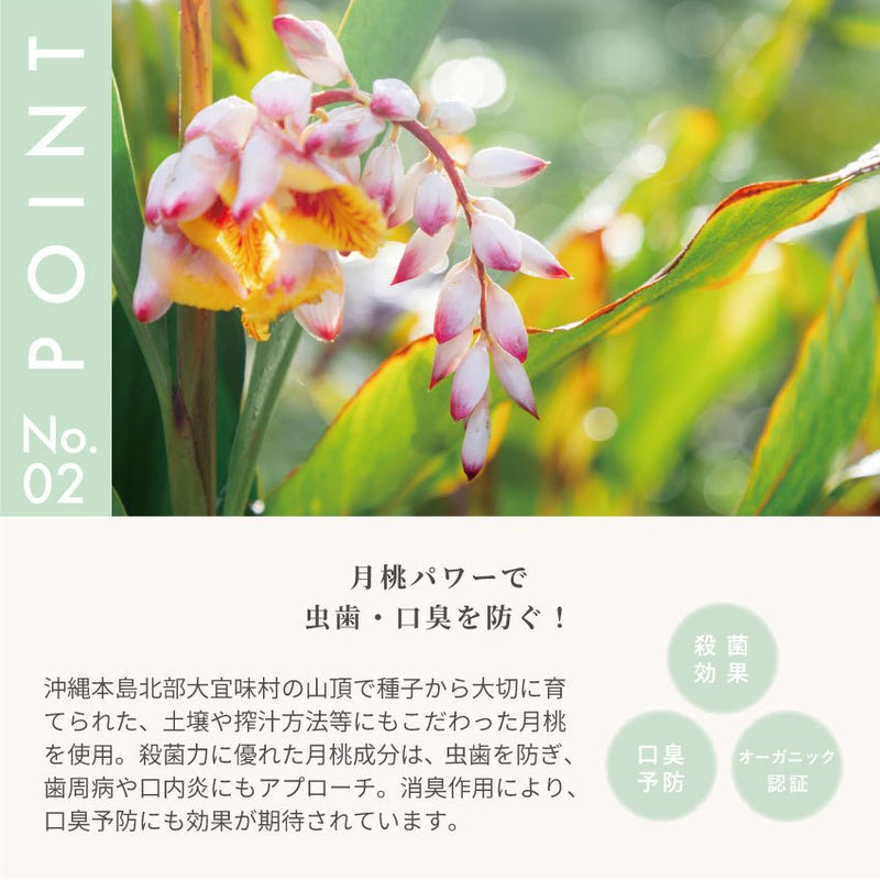 月桃トゥースジェル/TOOTH GEL - SHINE BABY AND KIDS ONLINE STORE