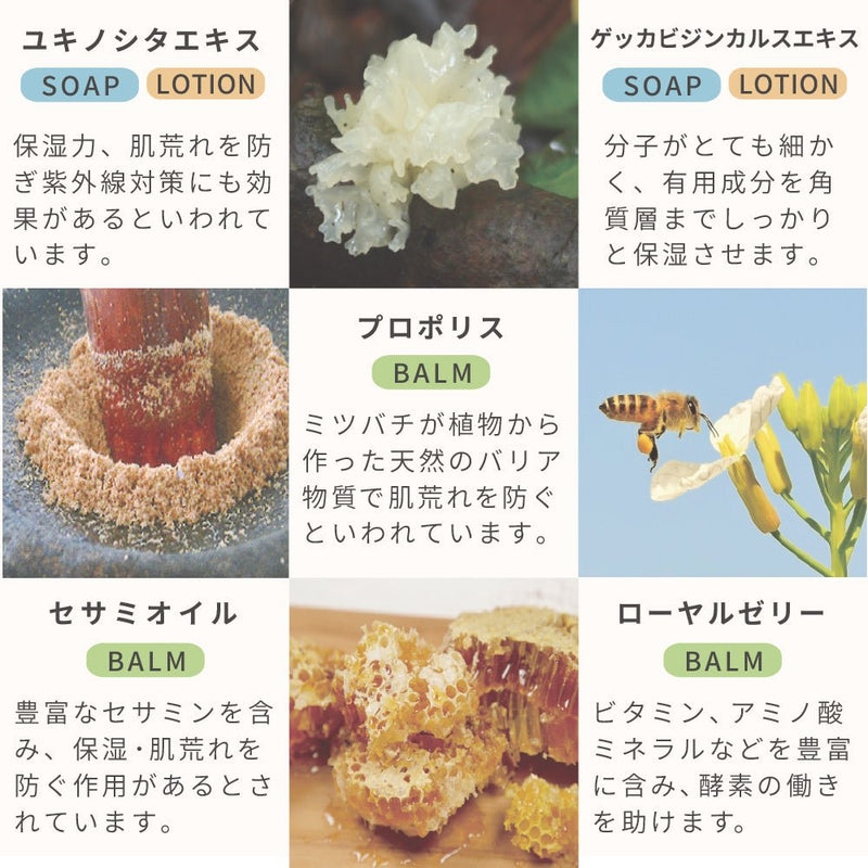 シルキーミストローション / SILKY MIST LOTION - SHINE BABY AND KIDS ONLINE STORE