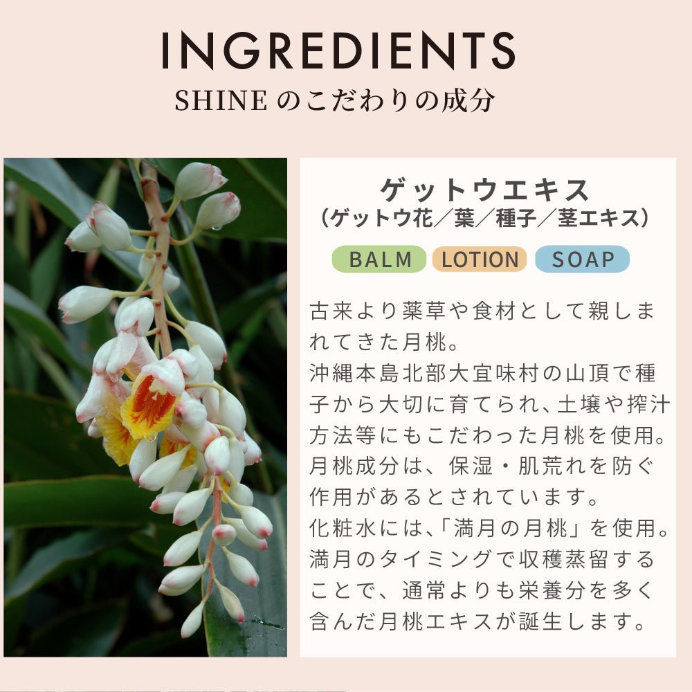 シルキーモイストローション SHINE BABY&KIDS シャイン ベビー＆キッズ